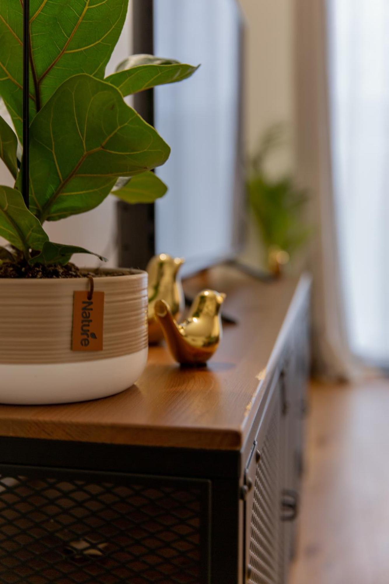Delalauret Apartment - Vannes Centre Екстер'єр фото